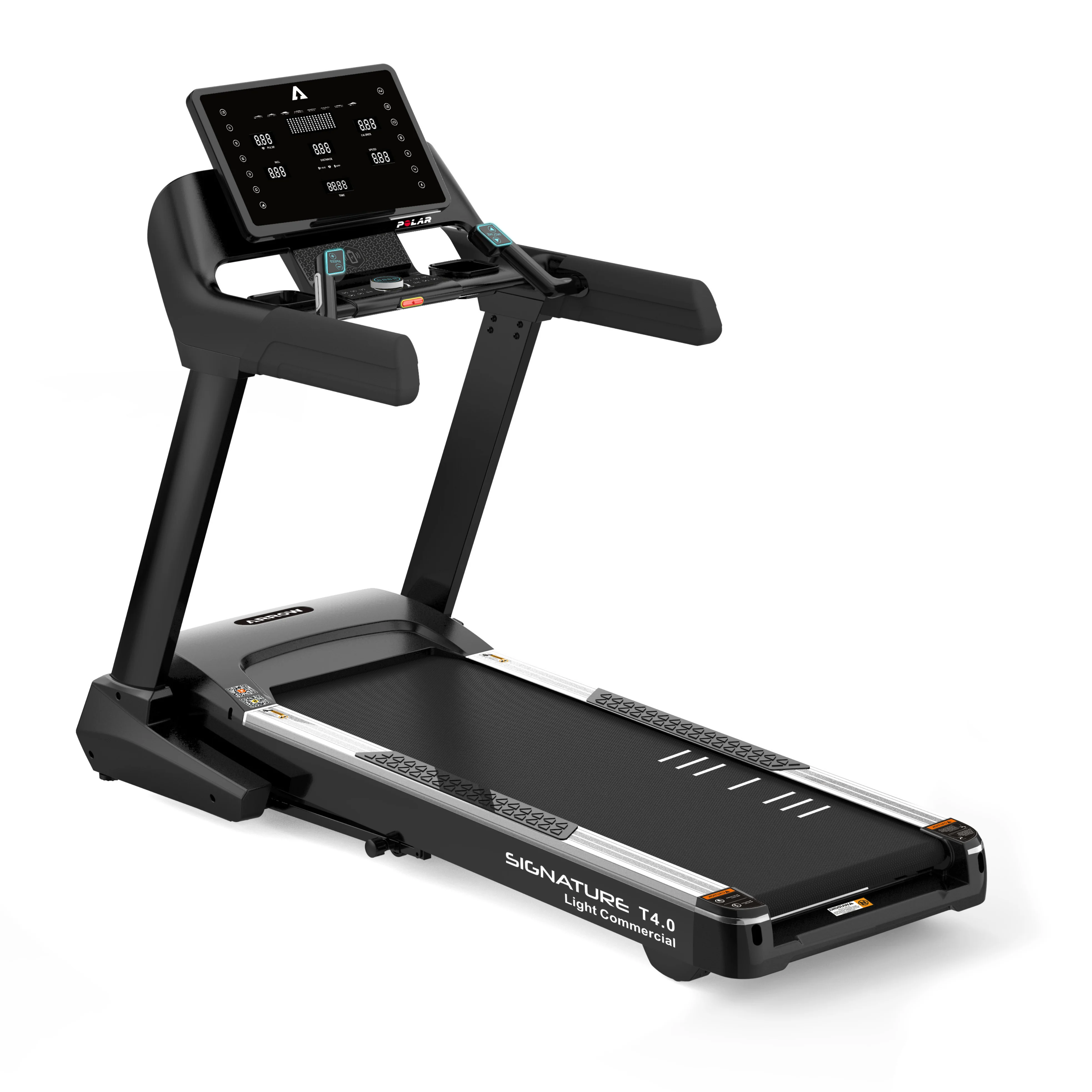 Massive Gym Equipment Sale